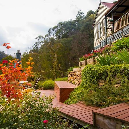Walhalla Wild Cherry Exterior photo